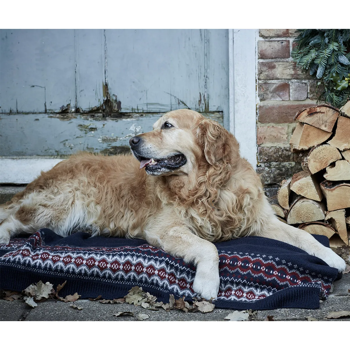 Barbour Case Fair Isle Blanket