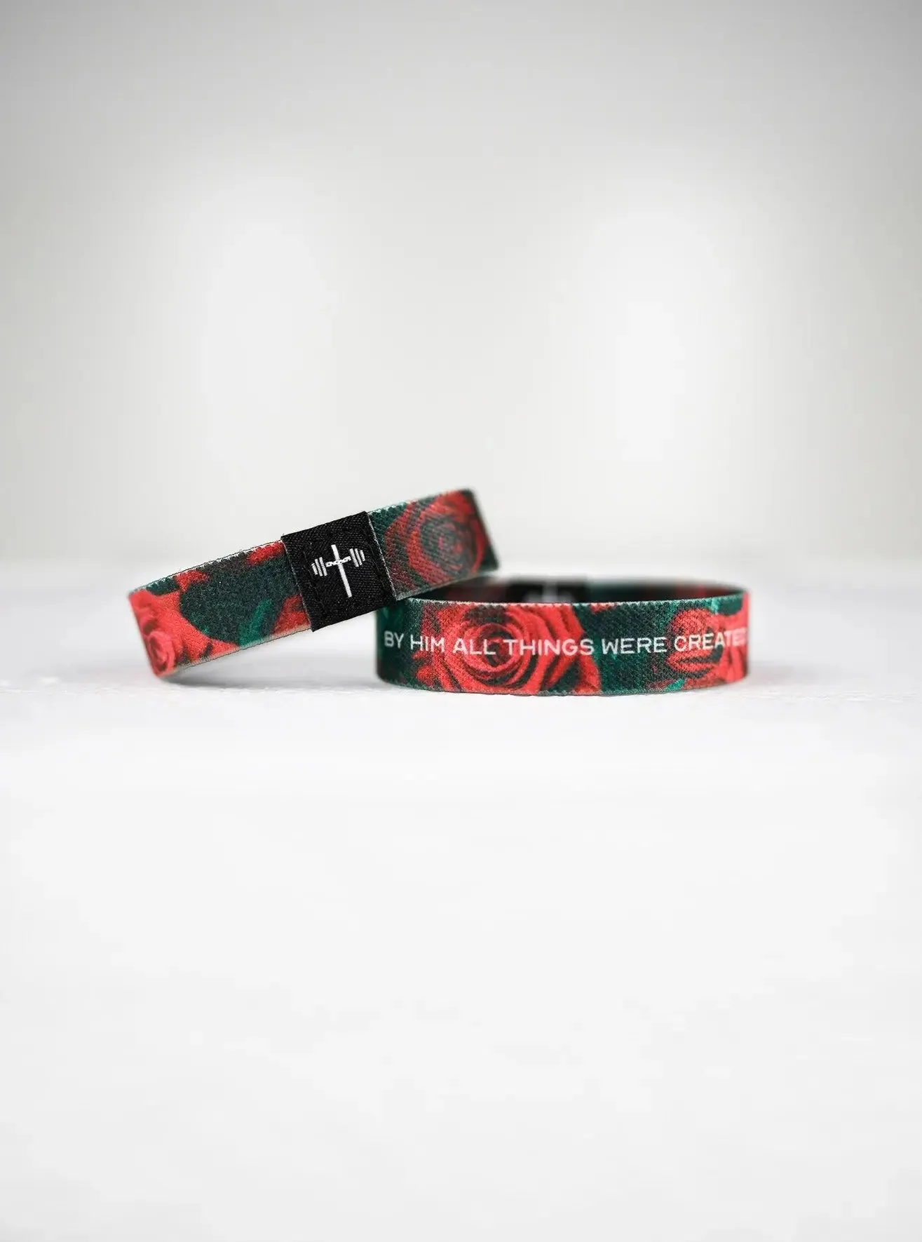 Colossians 1:16 Wristband