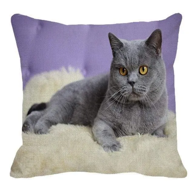 Cute British Shorthair Cat Linen Pillowcase