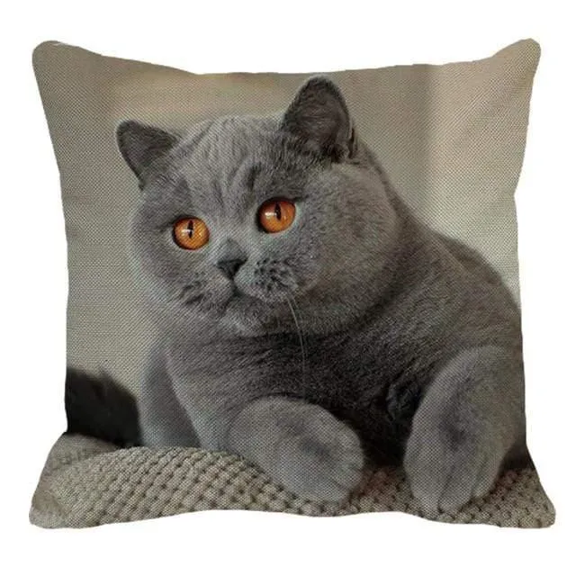 Cute British Shorthair Cat Linen Pillowcase